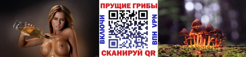 цена   Шадринск  Псилоцибиновые грибы MAGIC MUSHROOMS 