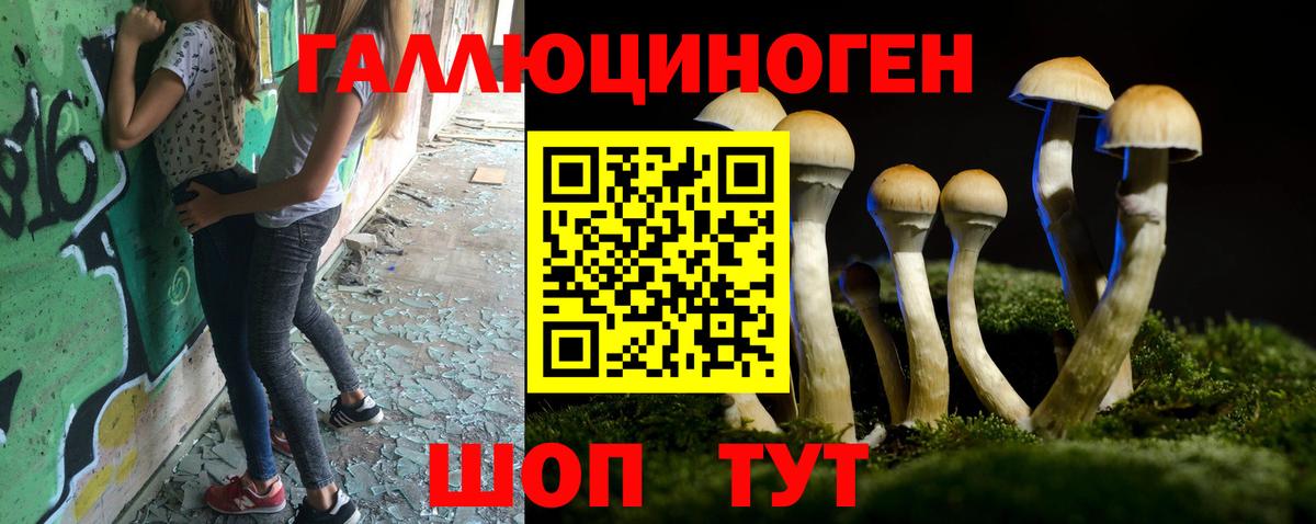 Псилоцибиновые грибы ЛСД  закладки  Вход с VPN  Шадринск  Псилоцибиновые грибы ЛСД 